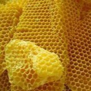 Bees Wax