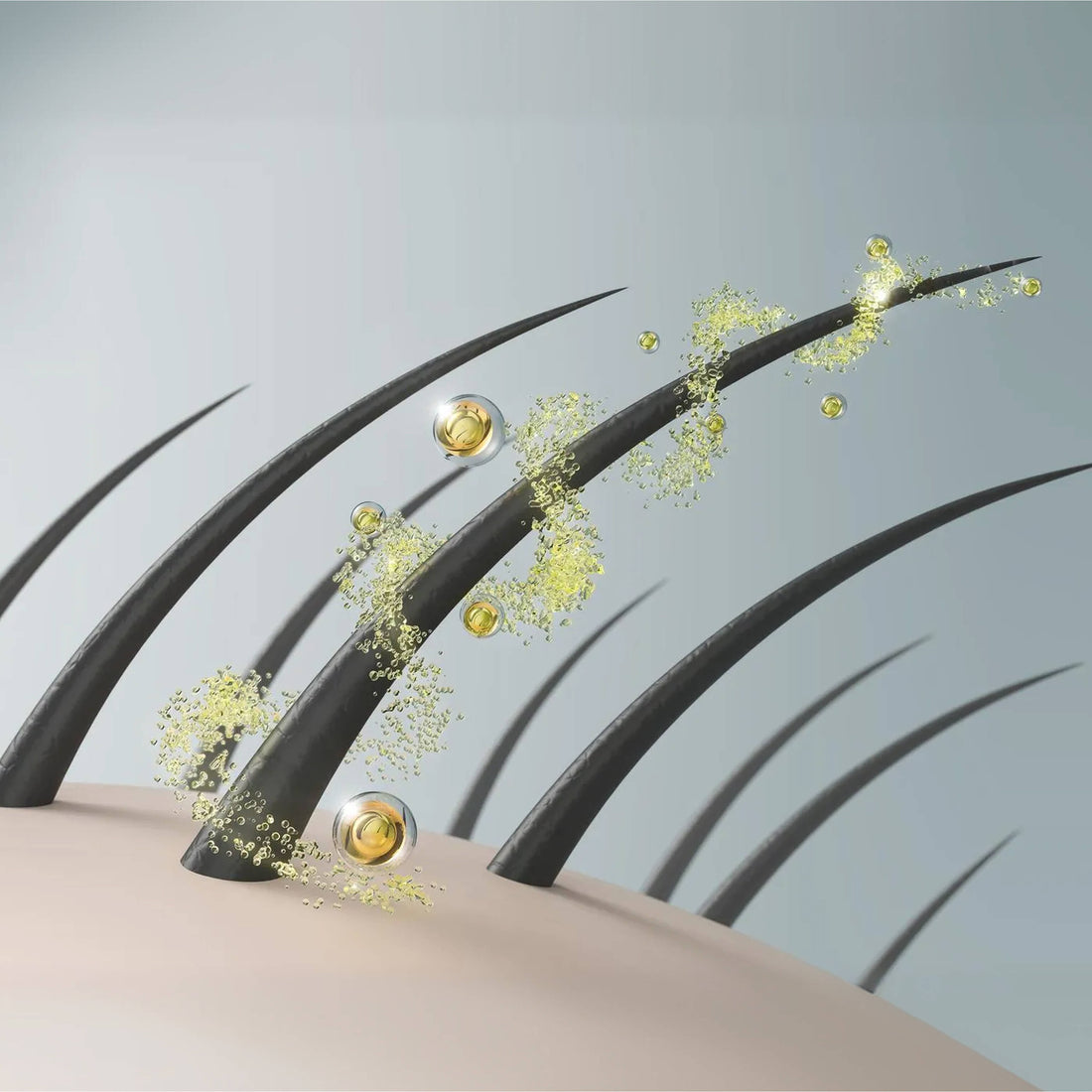 Boosts New Hair Growth