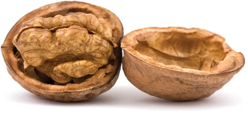 Walnut