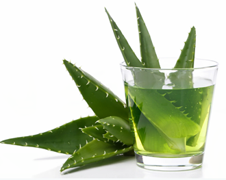 Aloe vera