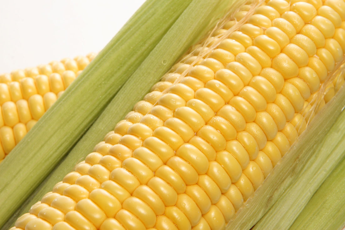 Corn