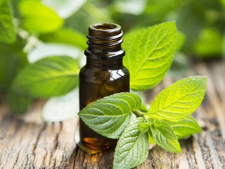 Peppermint EO
