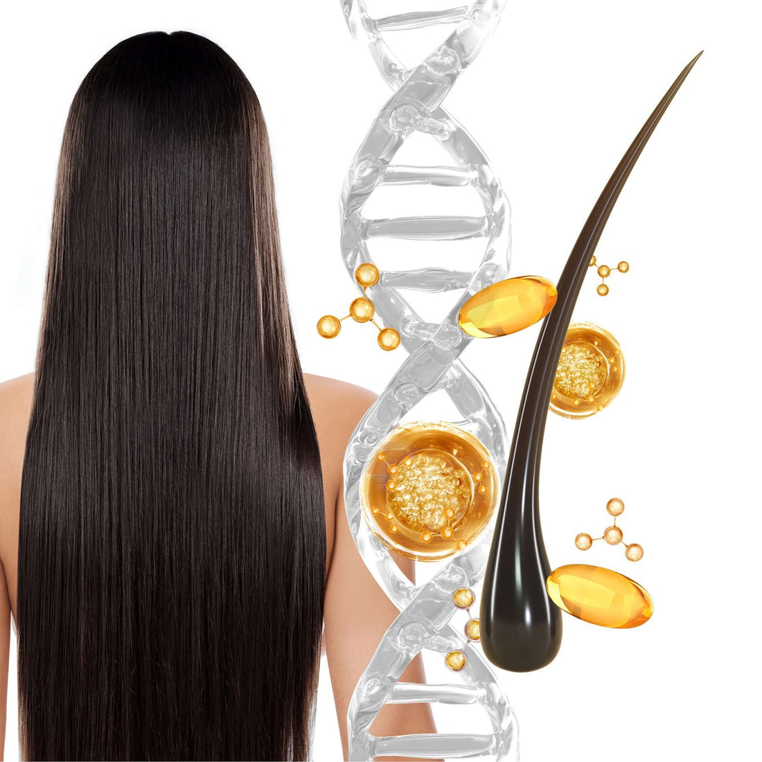 Strengthens hair roots (follicle nourishment)