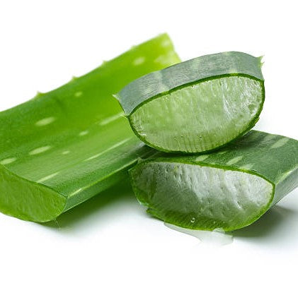 Aloe Vera Extract
