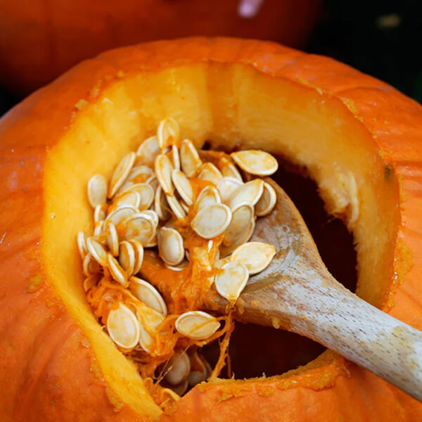 Pumpkin Seeds