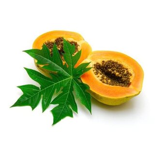 Papaya Extract