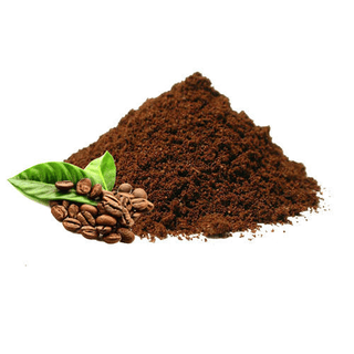 Coffee Extract