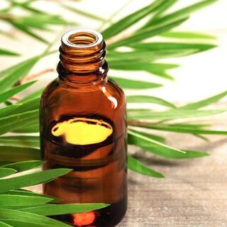Tea Tree Essential Oil