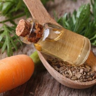 Carrot Seed Oil