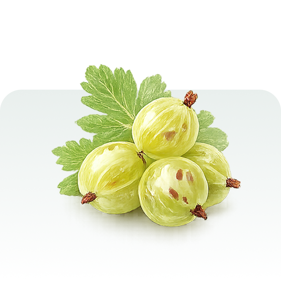 Amla
