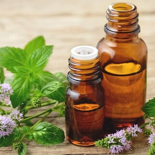 Peppermint Oil
