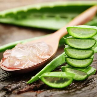 Aloe Vera Extract