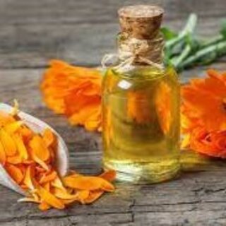 Calendula Oil
