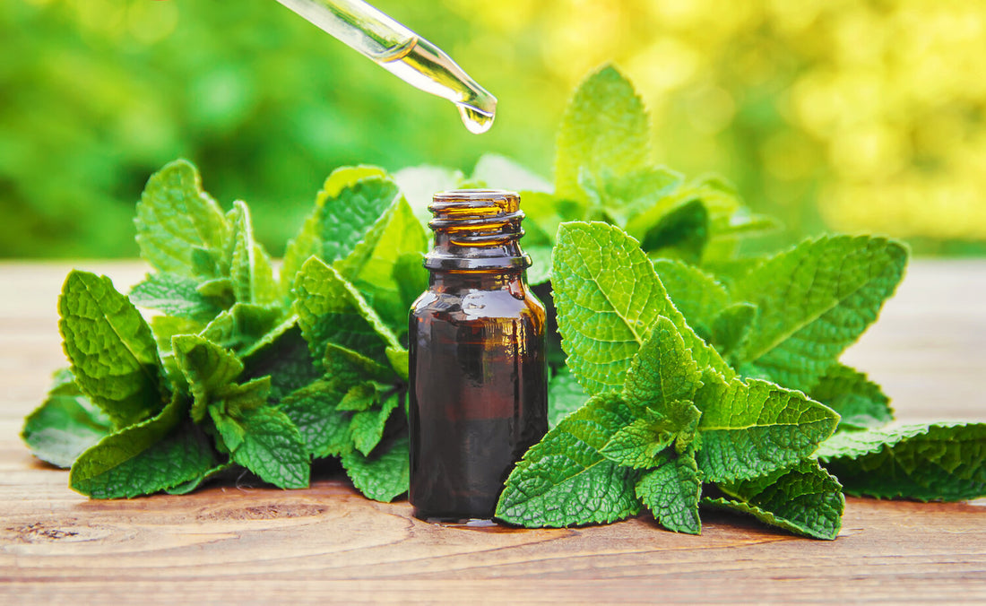 Peppermint Essential Oil