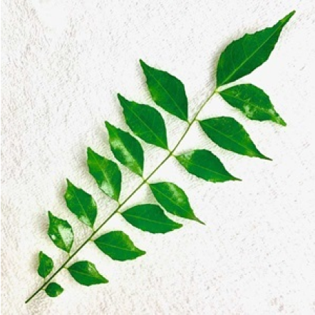 Curry leaves