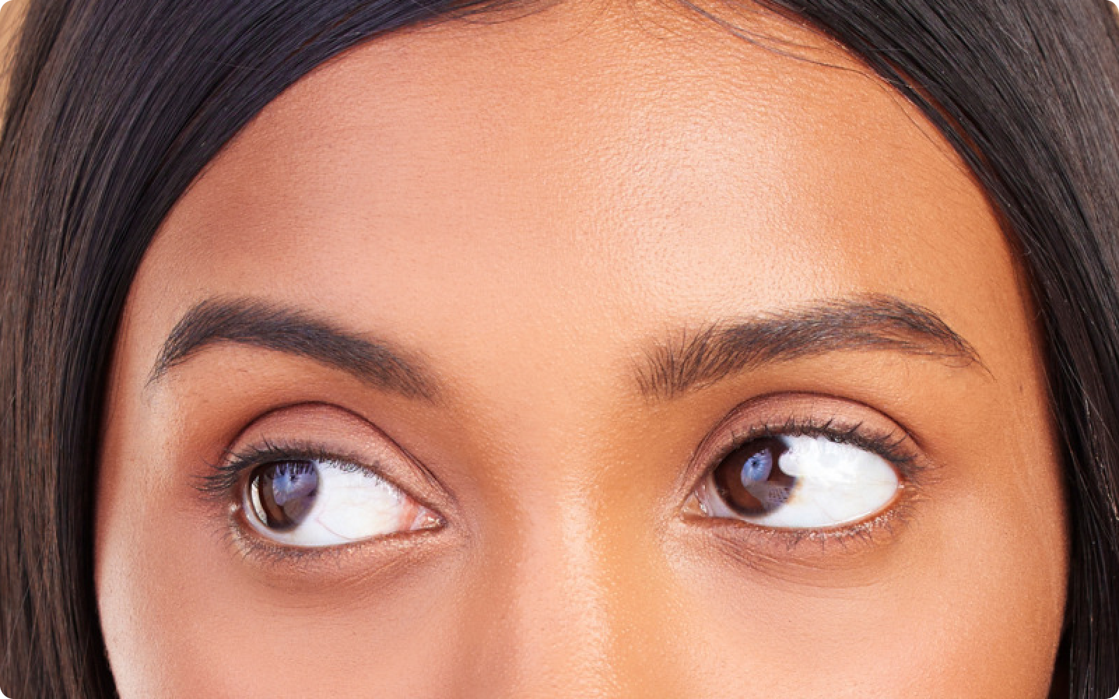 Lakshmi Krishna Naturals