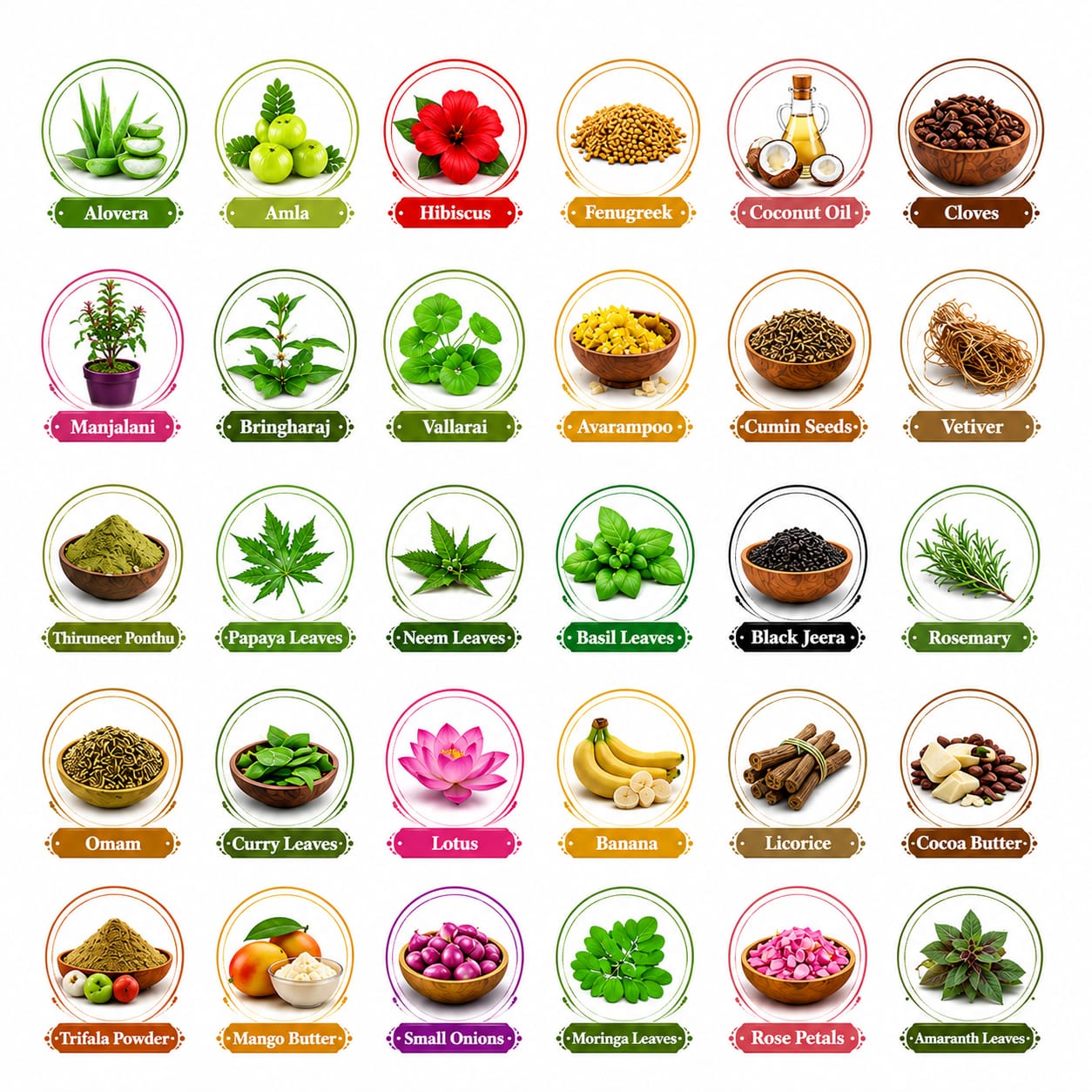 32 Herbs Hair Regrowth Oil