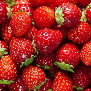 Strawberry fruit